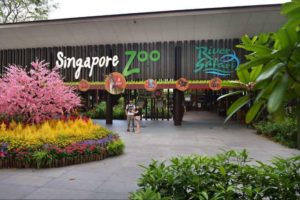 singaporezooentrance2 0 300x200 Top 5 Tourist Destinations in Singapore You Can Visit with a Maxicab